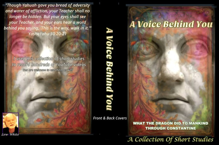 A Voice Behind You - by Lew White