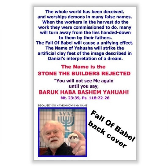 FALL OF BABEL - At the End of Days