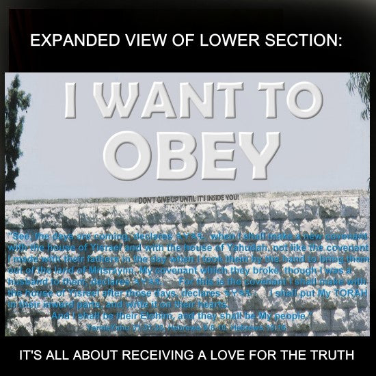 I WANT TO OBEY - WALL POSTER