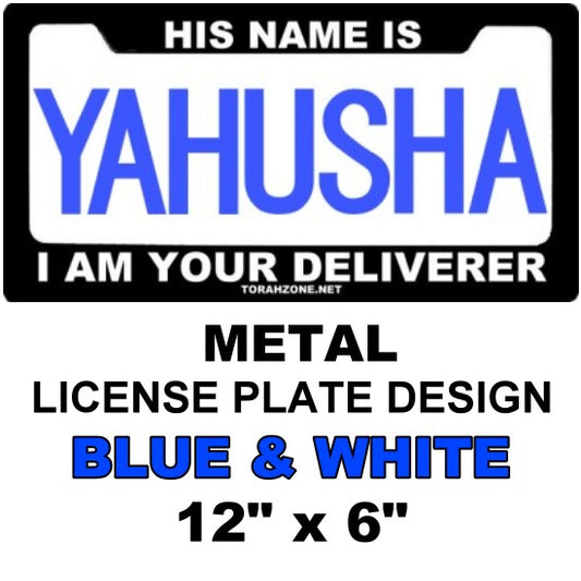 LICENSE PLATE - METAL BLUE AND WHITE