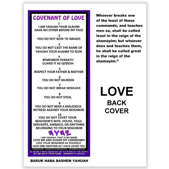 LOVE - Introduction to the BYNV