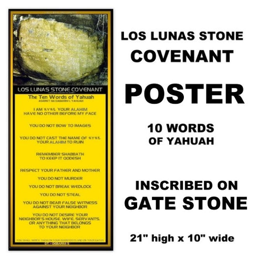 LOS LUNAS STONE COVENANT POSTER