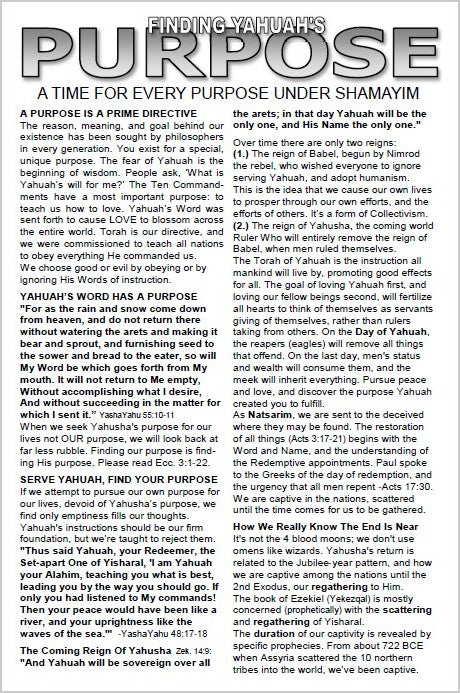 PURPOSE (Finding Yahuah's Purpose) - A time for Every Purpose Under Shamayim