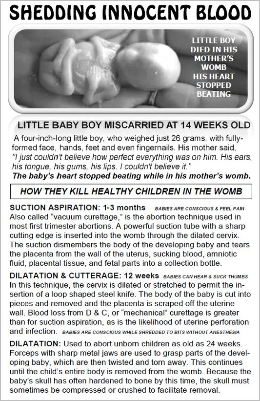 SHEDDING INNOCENT BLOOD pdf download