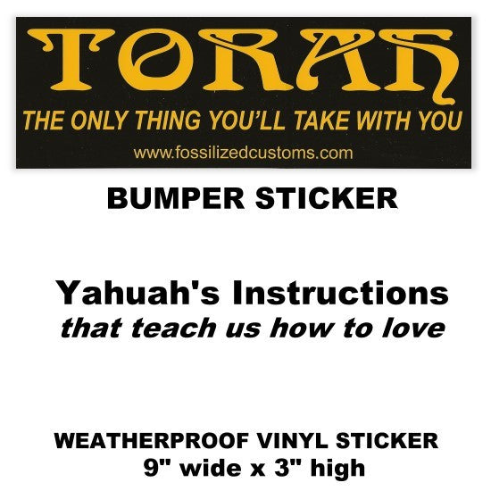 TORAH THE ONLY THING YOU'LL TAKE WITH YOU