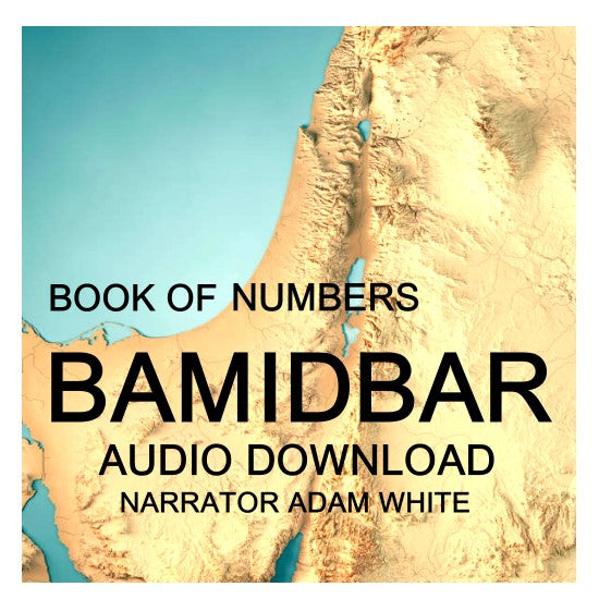 BYNV BAMIDBAR (Numbers) Audio Download