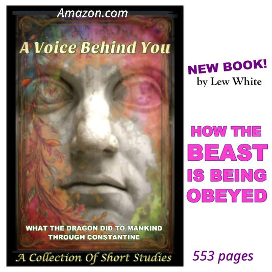 A Voice Behind You - by Lew White