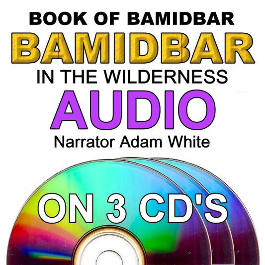 BYNV  BAMIDBAR Audio CD of Numbers