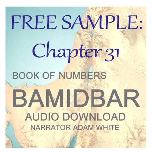 FREE SAMPLE: BAMIDBAR CHAPTER 31