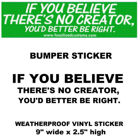 IF YOU BELIEVE THERE'S NO CREATOR Vinyl Sticker