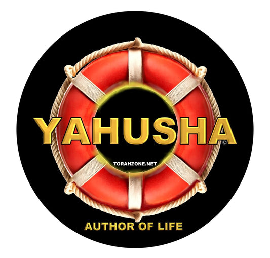 Lifesaver Window Sticker - 4 inch diameter