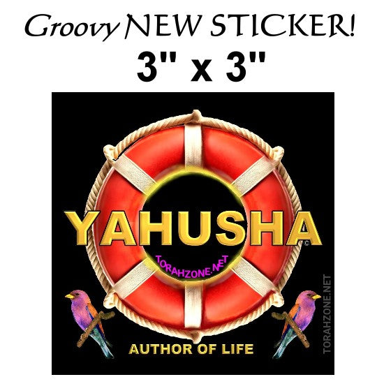 LIFESAVER STICKER  - 3" x 3" SQUARE