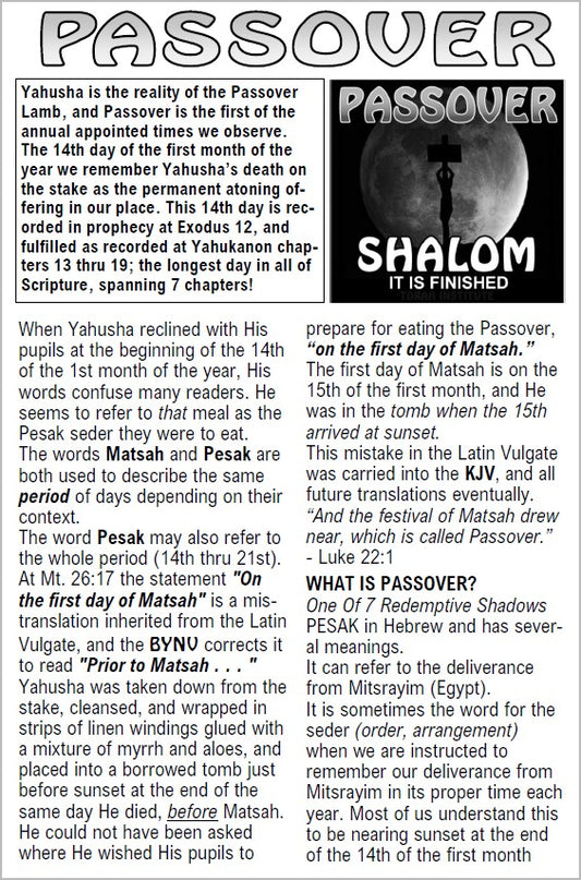 Passover Tract- Free Download PDF (digital file)